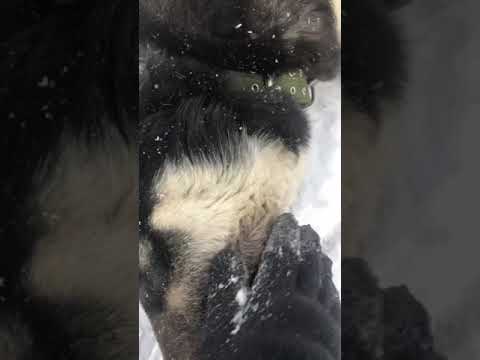 Казахский тобет 11