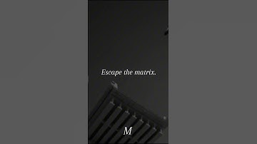 Escape the matrix #mentality #mindset #motivation #youtubeshorts #youtube