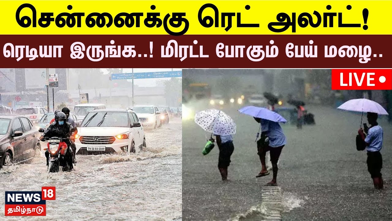 🔴LIVE: Chennai Heavy Rain Alert | சென்னைக்கு ரெட் அலர்ட்! | School ...
