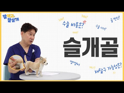 ❘ 잘 먹고 잘 살 <strong>개</strong> <strong>EP</strong>.01 ❘ 슬개골
