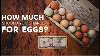 HOW MUCH $$$ SHOULD YOU CHARGE FOR CHICKEN EGGS? (and other farm products)