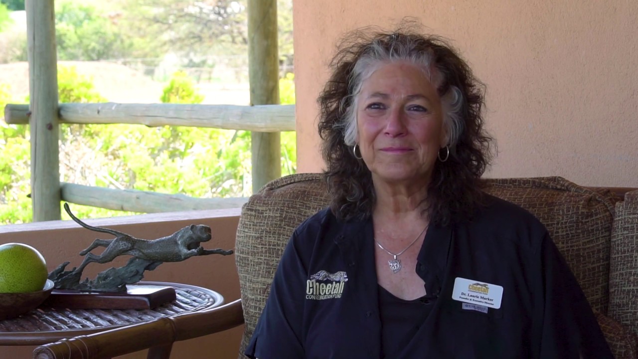 Cheetah Conservation Fund's 30th Anniversary