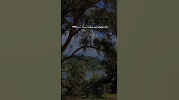 #اكسبلور #يصلك #لايك #المصحف #قُرآن #تلاوة_خاشعة #تلاوة_هادئة #راحة_نفسية #قال_لا_تخافا