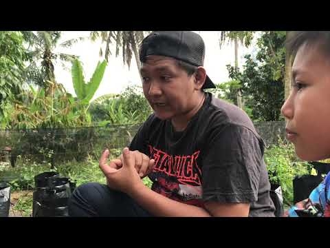 Tips Belajar Bahasa Inggeris