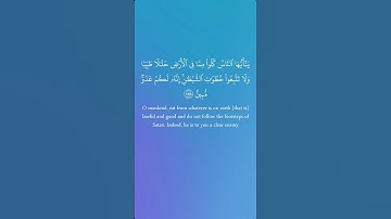 سورة البقرة من الآيه 168 الى الآيه 169 بصوت الشيخ مشاري العفاسي