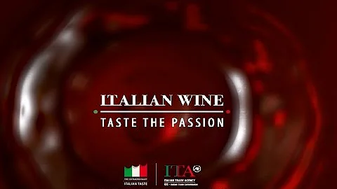 ITALIAN WINE - TASTE THE PASSION