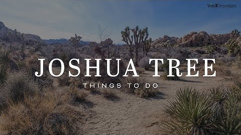 Joshua Tree National Park | Top Hikes & Things to Do [4K HD]