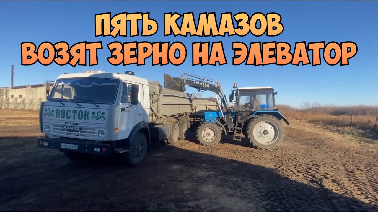 Возим зерно на камазе Возим зерно на камазе