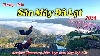 Hướng Dẫn Săn Mây Đà Lạt 2024 | Review Homestay Săn Mây Siêu Đẹp Tại Cầu Đất Đà Lạt