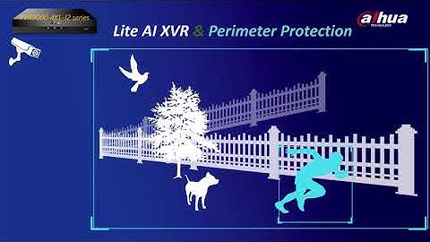 Lite AI XVR and Perimeter Protection IVS