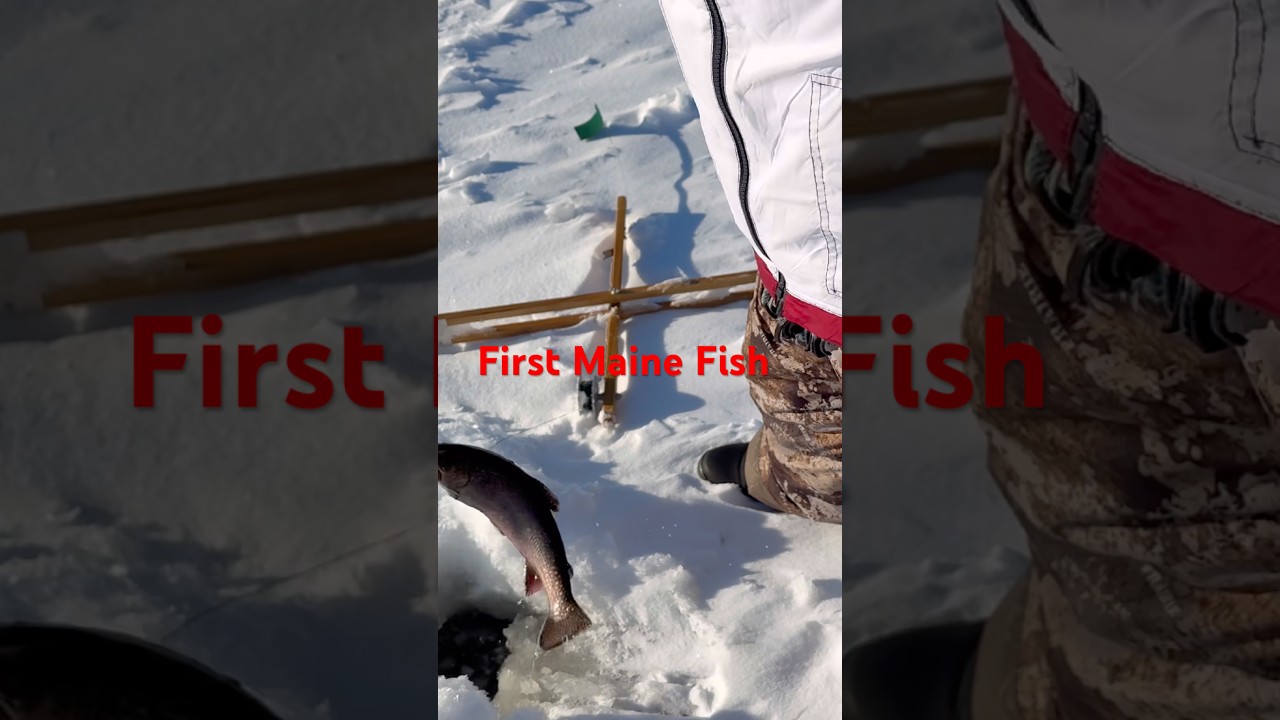 A young girl holds up her first fish, a successful result of Maine ice fishing for brook trout.