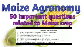 Maize Agronomy | 50 important questions about maize crop | Maize crop lecture