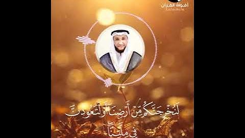 صاحب الصوت الجميل الشيخ محمد فتحي وما تيسر من سورة ابراهيم