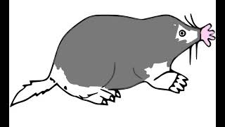 Coloring Book Mole - How To Draw