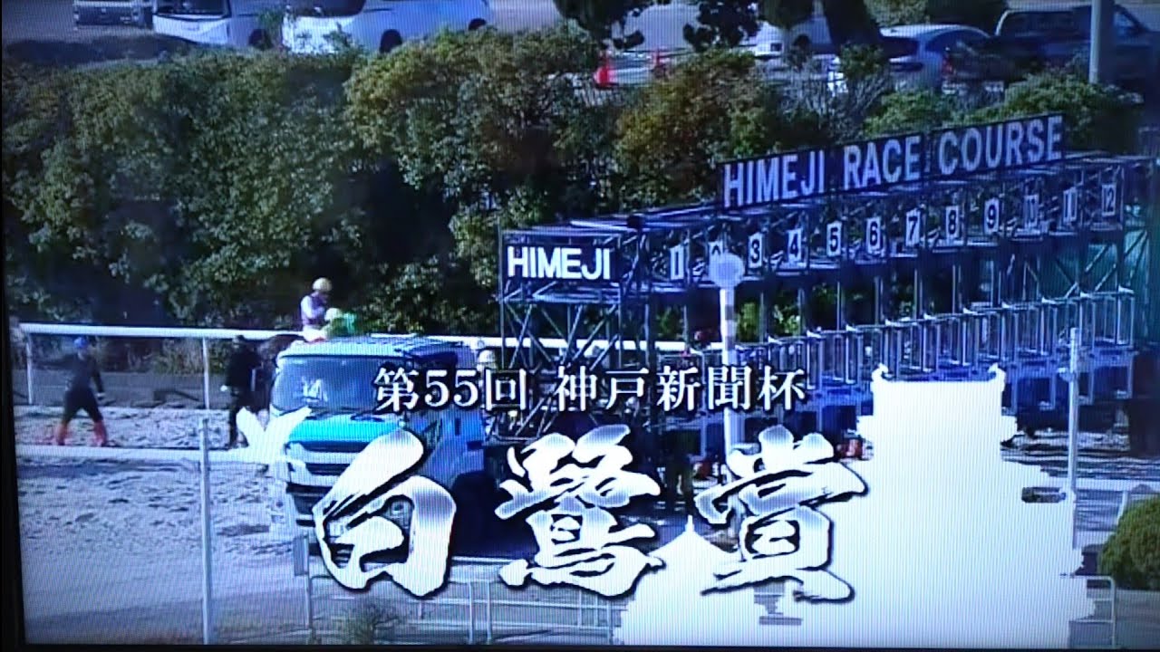 2026/3/12 姫路競馬11R 第55回白鷺賞(重賞)【7連勝中ジグラート、古豪
