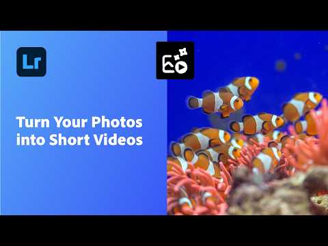 How to Turn Photos Into Videos in Adobe Lightroom