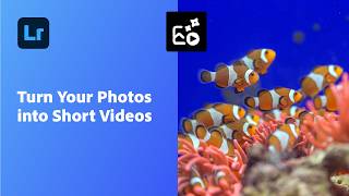 How to Turn Photos Into Videos in Adobe Lightroom