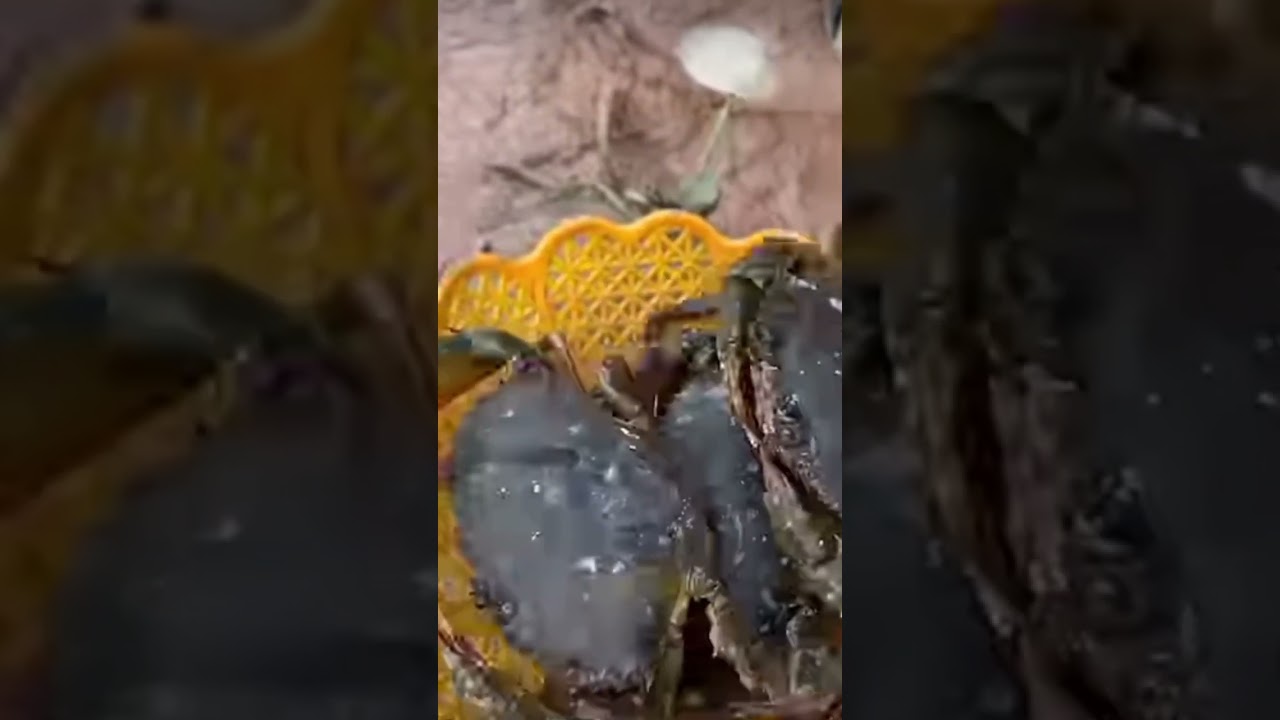 Crab🦀 (Alimango) cooking crab with coca-cola 