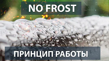 Система No Frost. Принцип работы.