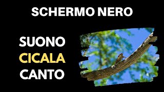 Suono CICALA | Schermo Nero ⚫🦗 [ASMR Rumore Bianco] 10 Ore Per Dormire by Mardeo Music 78,344 views 3 years ago 10 hours