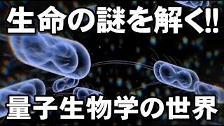 量子力学で生命の謎を紐解く！量子生物学の世界！