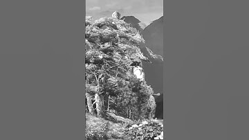 mahadev status🔱 bhole nath status🔱 mahakal whatsapp status🙏#brsagar #mahadev #shorts