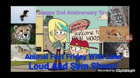 Happy 2nd Anniversary To Animal Fact Friday With Lana Loud And Sam Sharp