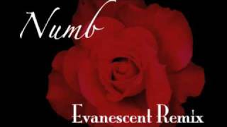 Numb--Evanescent Remix (My remix with me Singing)