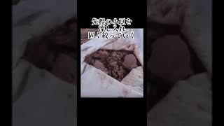 【裏ワザ】炊飯器とレンジで小豆の皮を剥いて作る職人技の「こし餡」が炊ける簡単な作り方