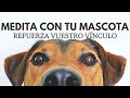 MEDITACIÓN CON TU MASCOTA PARA MEJORAR EL VÍNCULO | MEDITACIÓN PARA MASCOTAS | RELAJACIÓN ❤EASY ZEN