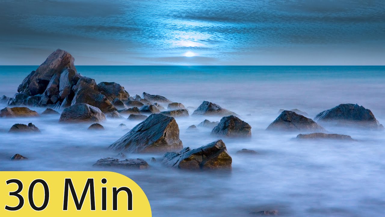 Realistic Ocean Wall Murals