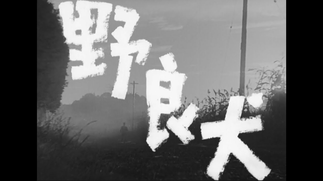 映画＞生きていた野良犬