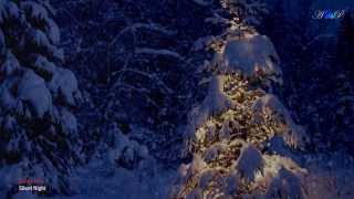 Video thumbnail of "André Rieu - Silent Night"