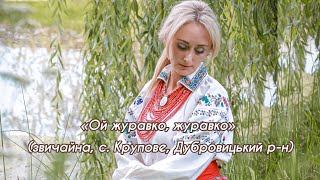 картинка: Галина Куришко - «Ой журавко, журавко» / звичайна