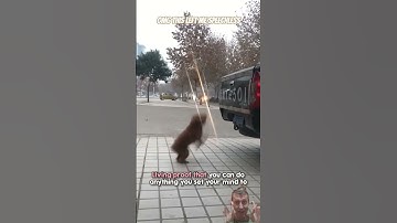 OMG This Left Me Speechless