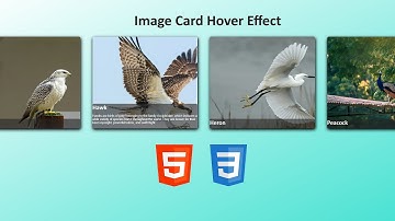 Image Card Hover Effect | HTML & CSS | Adobe Dreamweaver