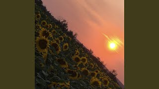 Sparks (feat. Dizzy) - Field Guide