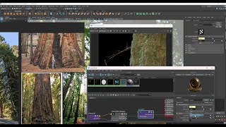 Look Dev in Arnold | Detailing Bark