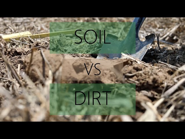 Soil vs. Dirt: What's the Difference?