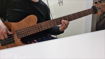 Thumbnail of The Platters - Only You (bass cover)