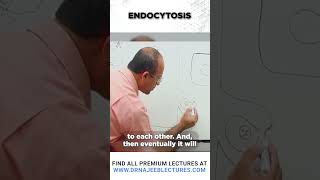 Endocytosis #drnajeeb #shortvideo #drnajeeblectures