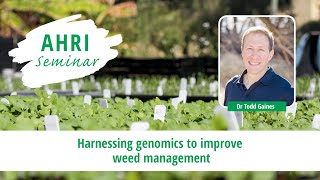 Harnessing genomics to improve weed management