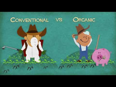 Thực phẩm hữu cơ là gì?