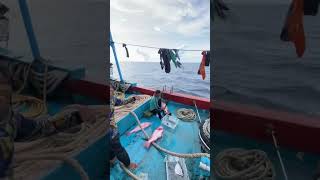 Dapat ikan langsung bakar menyala !!