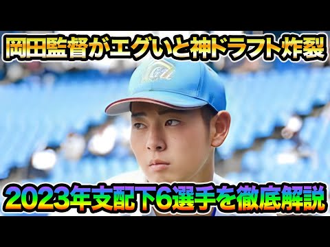 【岡田監督がエグいと大絶賛】2023年ドラフト支配下6選手を徹底解説!! 阪神の立ち回りが色々神過ぎる件について【阪神タイガース】