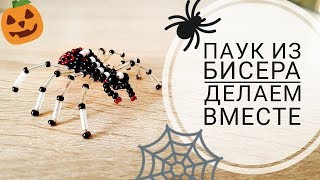 ПЛЕТЕМ ПАУКА ИЗ БИСЕРА♥ Настоящий паук, которого вы не будете бояться))