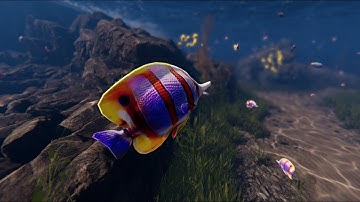 Tropical Dive Unity underwater scene with boids (Regular cam)