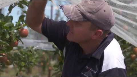 Benefits of netting with Michael Cunial