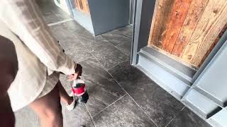 KONE KSS 140 Ecospace MRL Traction Elevators @ Assembly Food Hall - Downtown Nashville TN