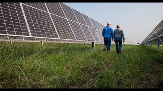 A day in the life of a solar farm: 260MW Impact solar in Texas, USA | Lightsource bp